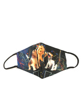 Carica l'immagine nel visualizzatore di Gallery, Mascherine in diverse fantasie