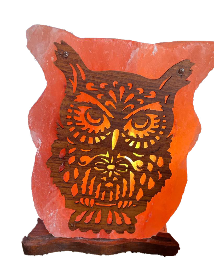 Lampada di sale himalayano con civetta in legno