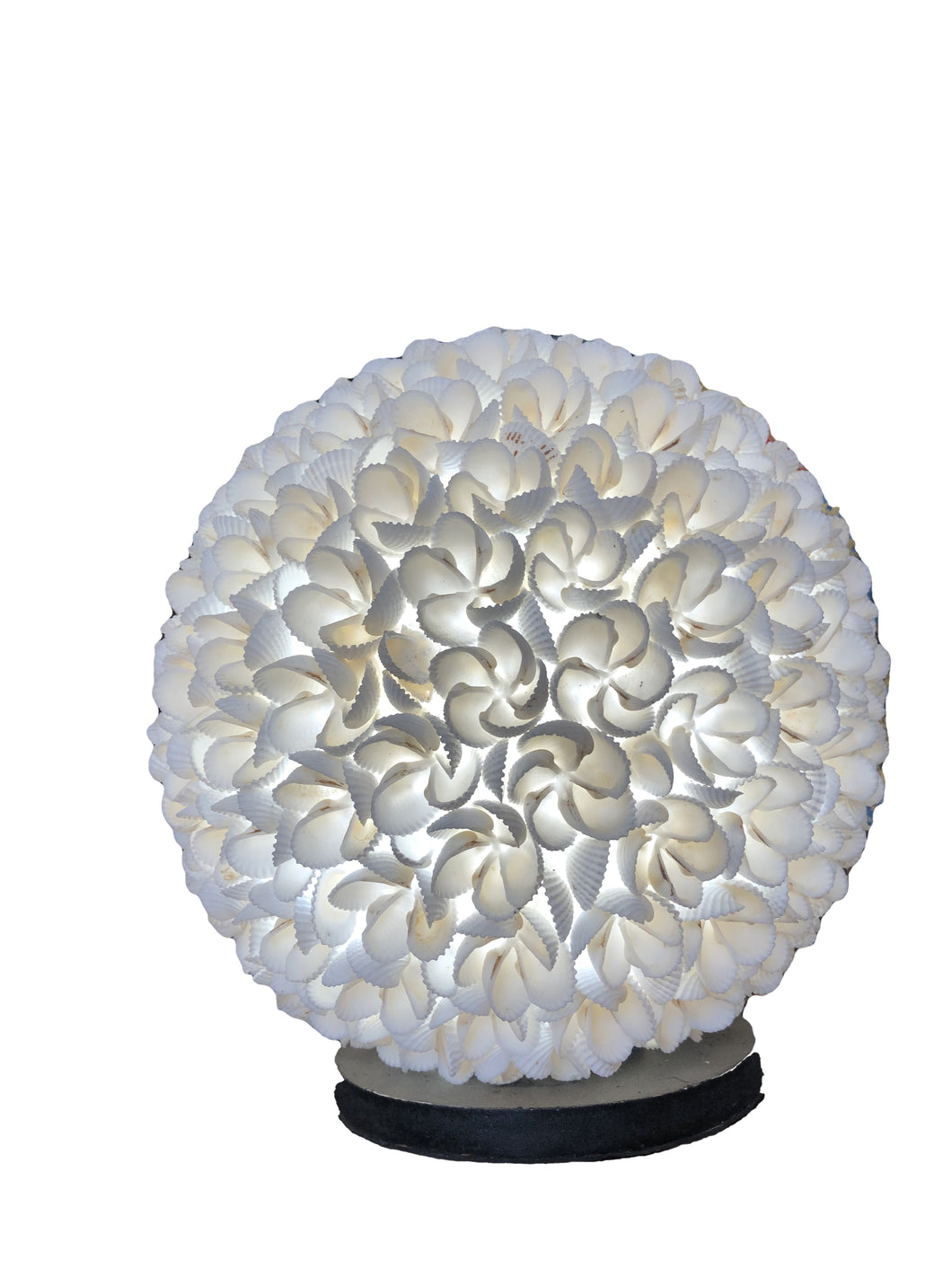 Lampada tonda in conchiglie vere e resina