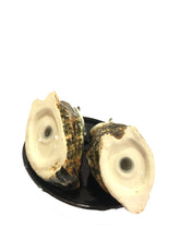 Carica l&#39;immagine nel visualizzatore di Gallery, Civette in ceramica Sale e Pepe
